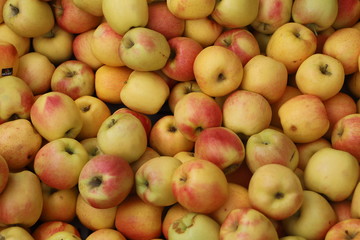 closeup of apples exposed to the market