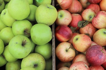 closeup of apples exposed to the market