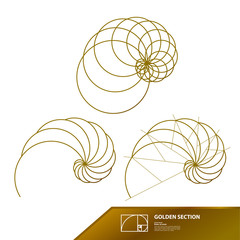 Golden ratio for creative design vector illustration. - obrazy, fototapety, plakaty