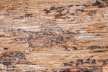 old rough cracked wood texture background