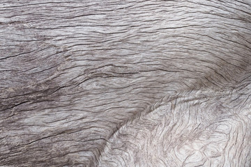 Vintage black and white old wooden texture nature background. rustic style