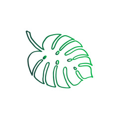 Stylish tropic monstera leaf - green gradient design closeup isolated. Tropical Leaf Silhouette - Monstera Vector Template