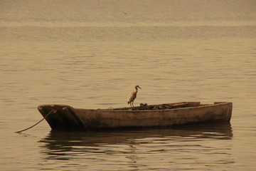 fishing at sunset