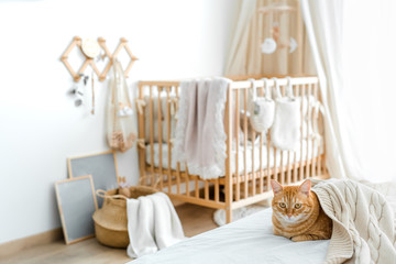 Fototapeta na wymiar Beautiful ginger cat on a beige plaid on the background of a crib in a white room on a sunny day