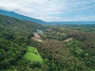 Fototapeta na wymiar Rural landscape, Field of corn ready for harvest in the background the mountains, Top view aerial photo from drone.