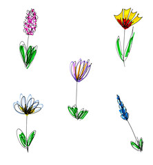 set of hand-drawn alpine spring flowers, isolated on white, ink and marker illustration