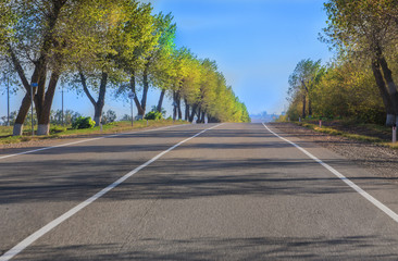 highway towards the city lit by the spring sun