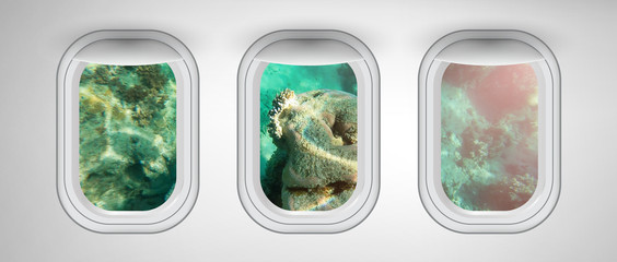 Beautiful scenic view of Underwater landscape through the aircraft windows