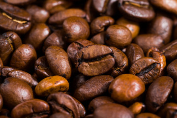brown freshly roasted coffee