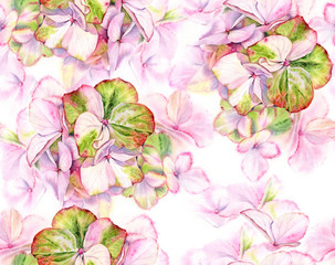 Pink Hydrangea watercolor seamless pattern. Big detailed flowers with pastel green color. Hand drawn floral illustration on white background for wedding design, surface, textile, wallpaper