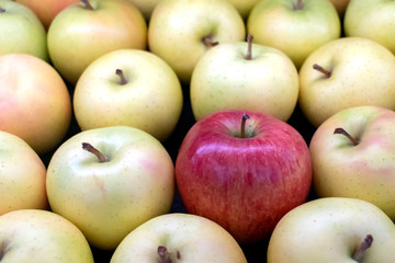 Background of fresh red apple and yellow apple
