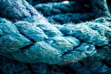 macro shot of a roap