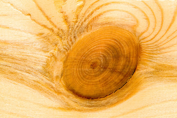 abstract wooden surface