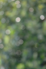 Obraz premium abstract background with bokeh