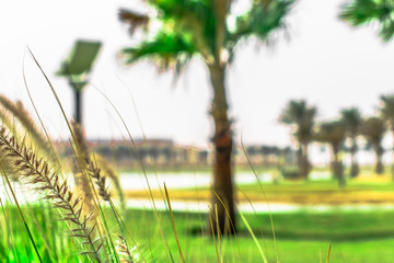 beautiful scenic view of parks and greenery  