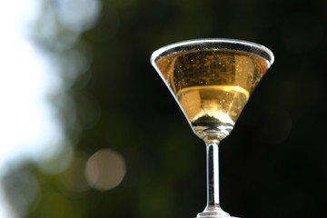 glass of martini on a background