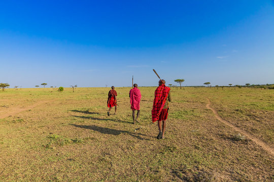 Bush walk with masaais in Masai mara