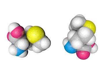Molecular model of methionine. Atoms are represented as spheres with conventional color coding: carbon (grey), oxygen (red), nitrogen (blue), hydrogen (white), sulfur (yellow). 3d illustration