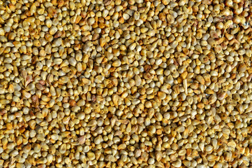 bajra grain,millets seeds top view ,indian Bread  seed (millet)