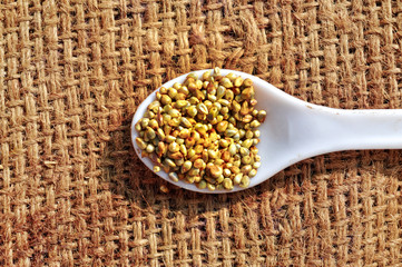 millet on agriculture sack background,white spoon on  millets seeds, bajra grain agriculture sack background
