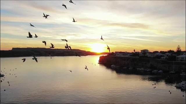 Seagulls flying in a sunrise in front of the drone in the small porrt of Es Castell in Menorca Spain