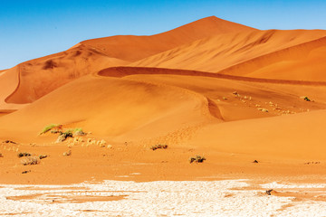 Fototapeta na wymiar Deadvlei in Namib-Naukluft national park Sossusvlei in Namibia, Africa