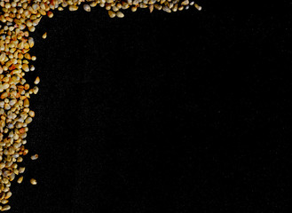 The frame of the grain,millet seeds frame on black background,frame of grain