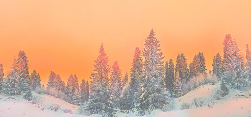 Winter landscape snowy trees beautiful sunset fanciful frosty trees Christmas trees