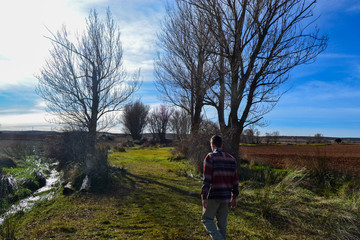 Fototapeta premium man walking among the trees next to a river in nature landscape