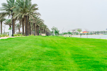 beautiful scenic view of parks and greenery 