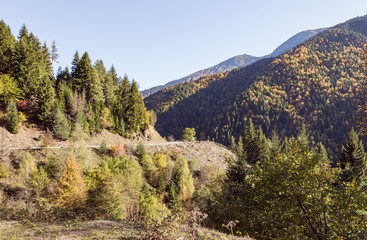 Fototapeta na wymiar A narrow winding mountain road passes through mountains and forests in the mountainous part of Georgia