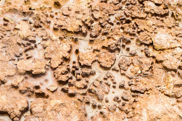 clean water and rocks inside it