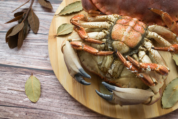 Bottom view of a cooked crab