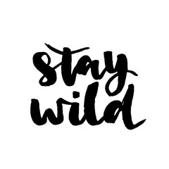 Stay wild - hand drawn lettering phrase isolated on the white background. Fun brush ink inscription for photo overlays, greeting card or t-shirt print, poster design.