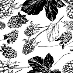 Blackberry healthy food. Black and white engraved ink art. Seamless background pattern. Fabric wallpaper print texture.