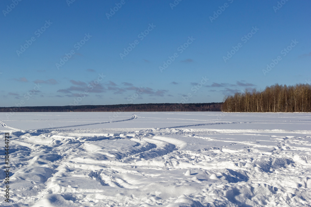 Wall mural beautiful winter landscape with field of white snow and forest on horizon on sunny frosty day.