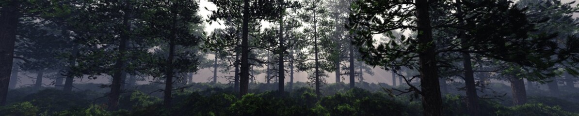 Trees in the fog. The smoke in the forest in the morning. A misty morning among the trees. 3D rendering
