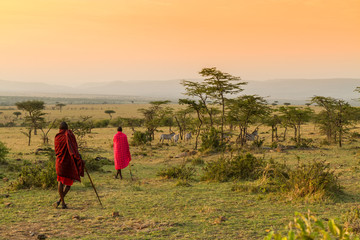 bush walk with Maasais in kenya - obrazy, fototapety, plakaty