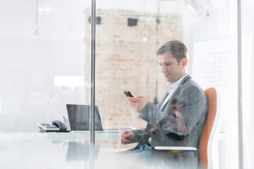 Businessman using smartphone in office