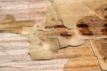 abstract wooden surface