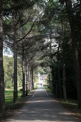 Ataturk Arboretum Botanic Park in Istanbul