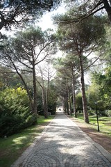 Ataturk Arboretum Botanic Park in Istanbul