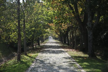 Fototapeta na wymiar Ataturk Arboretum Botanic Park in Istanbul