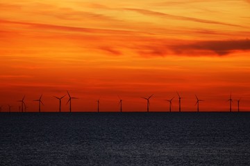 Fototapeta premium Windfarm on the sea at sunset