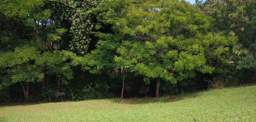 Experiências DMNeto