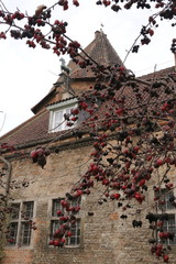 Fototapete bei efototapeten.de bestellen   