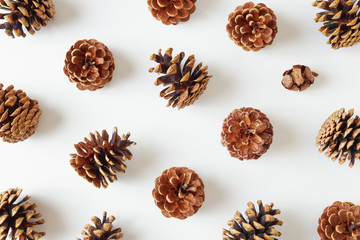 Pine cones over white background.