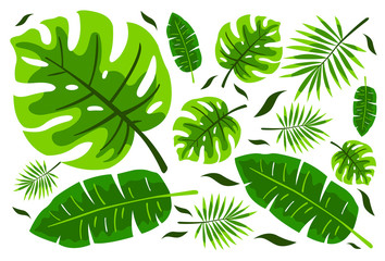 Fototapeta na wymiar Tropical green leaves pattern. Trendy print for summer. Usable for wallpaper, banner, poster, postcard. 