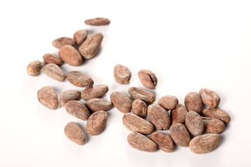 raw cocoa beans isolated on white background with copy space for your text