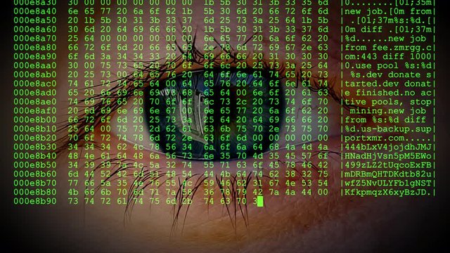 Human eye blinking behind the real-time live code of a Crypto-miner hex dump.